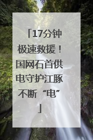 17分钟极速救援！国网石首供电守护江豚不断“电”