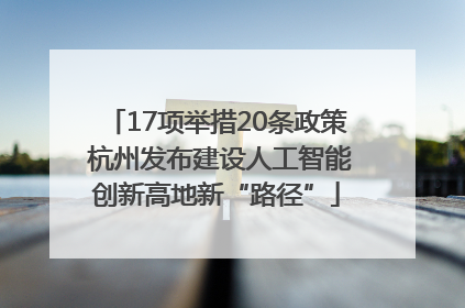 17项举措20条政策 杭州发布建设人工智能创新高地新“路径”