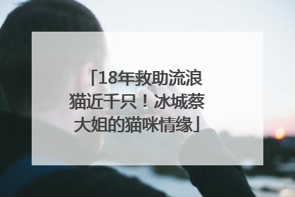 18年救助流浪猫近千只！冰城蔡大姐的猫咪情缘