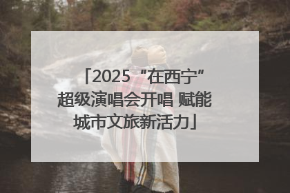 2025“在西宁”超级演唱会开唱 赋能城市文旅新活力
