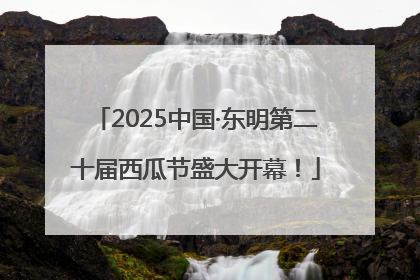 2025中国·东明第二十届西瓜节盛大开幕！
