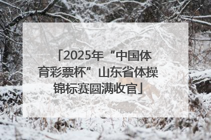 2025年“中国体育彩票杯”山东省体操锦标赛圆满收官