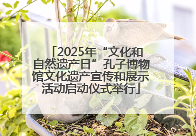 2025年“文化和自然遗产日”孔子博物馆文化遗产宣传和展示活动启动仪式举行