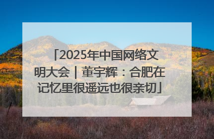 2025年中国网络文明大会｜董宇辉：合肥在记忆里很遥远也很亲切