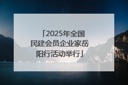 2025年全国民建会员企业家岳阳行活动举行