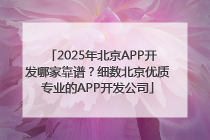 2025年北京APP开发哪家靠谱？细数北京优质专业的APP开发公司