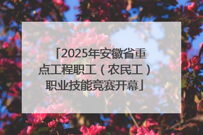 2025年安徽省重点工程职工（农民工）职业技能竞赛开幕