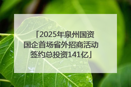 2025年泉州国资国企首场省外招商活动签约总投资141亿