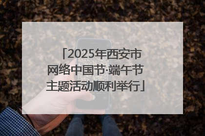 2025年西安市网络中国节·端午节主题活动顺利举行