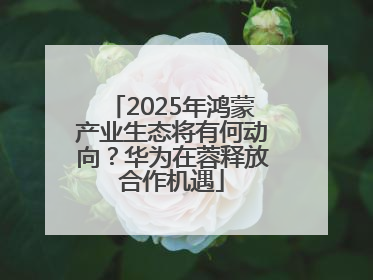 2025年鸿蒙产业生态将有何动向？华为在蓉释放合作机遇