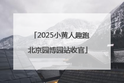2025小黄人趣跑北京园博园站收官