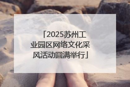 2025苏州工业园区网络文化采风活动圆满举行