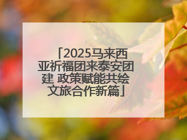 2025马来西亚祈福团来泰安团建 政策赋能共绘文旅合作新篇