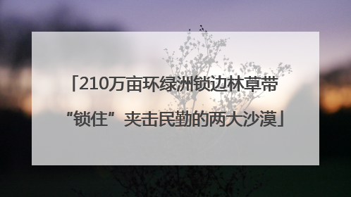 210万亩环绿洲锁边林草带“锁住”夹击民勤的两大沙漠