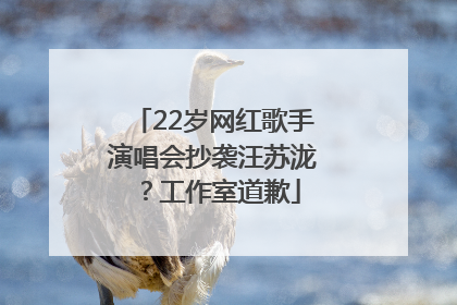 22岁网红歌手演唱会抄袭汪苏泷？工作室道歉