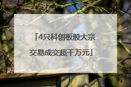 4只科创板股大宗交易成交超千万元
