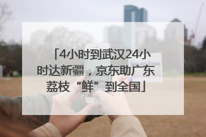 4小时到武汉24小时达新疆，京东助广东荔枝“鲜”到全国