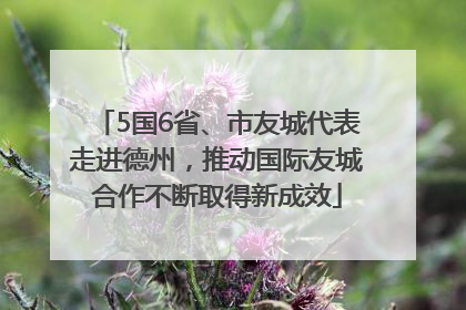5国6省、市友城代表走进德州，推动国际友城合作不断取得新成效