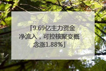 9.69亿主力资金净流入，可控核聚变概念涨1.88%