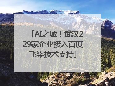 AI之城！武汉229家企业接入百度飞桨技术支持