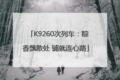 K9260次列车：粽香飘散处 铺就连心路
